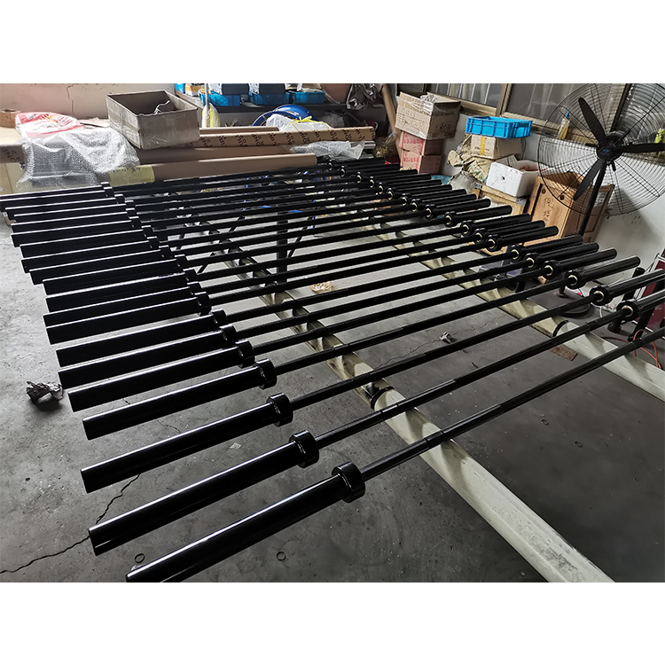 激安 高コスパ ジムトレーニング用 ストレートバーベル パワ - Olympic Barbell 20Kg のレビューと価格