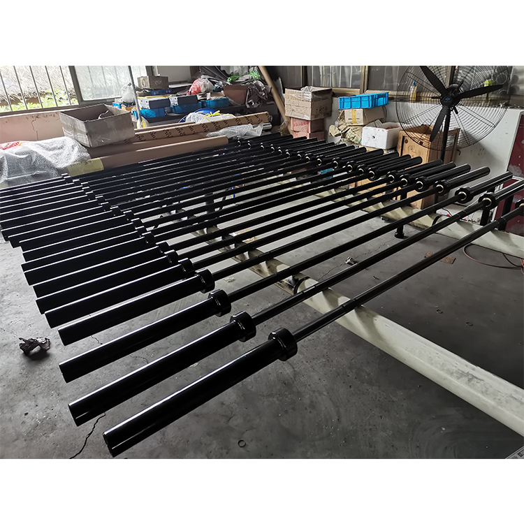 激安 高コスパ ジムトレーニング用 ストレートバーベル パワ - Olympic Barbell 20Kg のレビューと価格